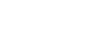 pariatur